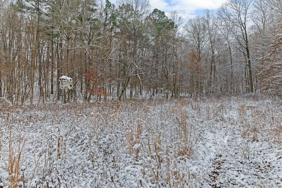 36-0 Waggener Ch-Chalbeate Rd Clay KY 42404_20251203_036.jpg